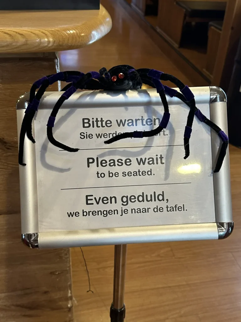 Große Plüschspinne auf dem Schild „Bitte warten, Sie werden platziert“